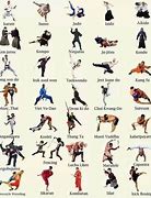 Image result for Martial Arts Moves Before the Fight