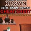 Image result for All Shades of Brown