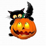 Image result for Funny Halloween Pumpkin Cat