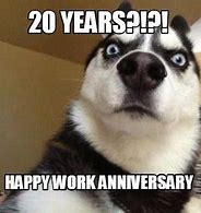 Image result for Sarcastic Quotes 20 Year Work Anniversary