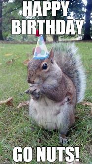 Image result for Funny Birthday Squirrel Memes