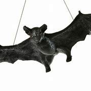 Image result for Rubber Bat