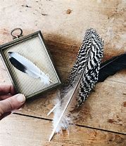 Image result for Maven Feather