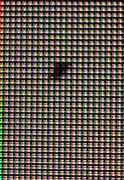 Image result for CMOS Dead Pixel