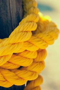 Image result for Mustard Yellow Aesthetic