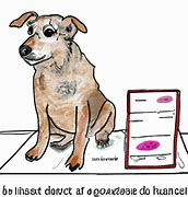 Image result for Puppy Warts