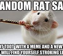 Image result for Cartoon Rat Meme