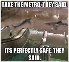 Image result for Metro Mog Meme