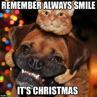 Image result for Funny Animal Christmas Memes