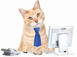 Image result for Cat Working in Office