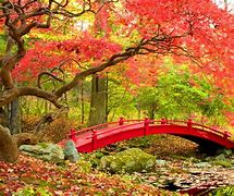 Image result for Japan Nature Desktop Wallpaper