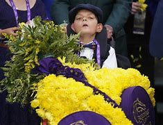 Image result for Breeders' Cup Horse Racing