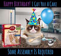 Image result for April Birthday Funny Grumpy Cat
