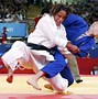 Image result for Judo Match