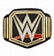 Image result for WWE Championship Belts Collection