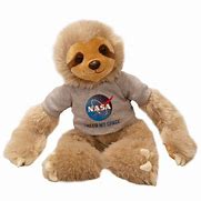 Image result for NASA Sloth