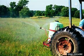 Image result for Pasture Pro Herbicide