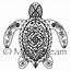 Image result for Turtle Mandala Coloring Pages