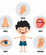 Image result for The Five Senses as Body Parts