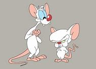 Image result for Pinky and Brain Cartoon