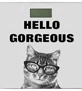 Image result for Hello Gorgeous Funny Meme