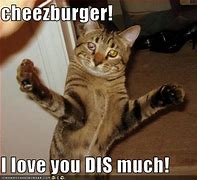 Image result for I Can Has Cheezburger