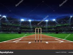 Image result for Wicket Scene Cricket
