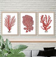 Image result for Coral Wall Art