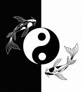 Image result for White Fish iPhone Wallpaper