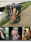 Image result for Coconut Crab Garbage Can