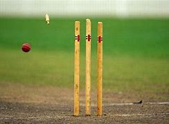 Image result for Wicket