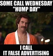 Image result for What Day Is It Camel Meme