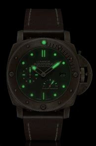 Image result for Panerai Dive Watch