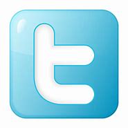 Image result for Baby Blue Twitter Icon