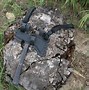 Image result for Tactical Tomahawk Sheath