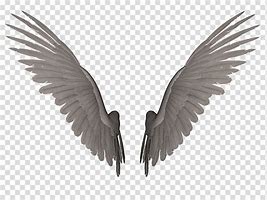 Image result for Angel Feather Clip Art