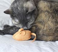 Image result for catnip mouse toy