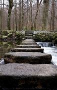 Image result for Stepping Stones in Tollymore Forest Park