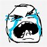 Image result for Troll Face Cry No Back