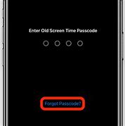 Image result for I Forgot the Pin to My iPhone SE