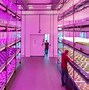 Image result for Philips LED Grow Lights