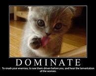 Image result for Cat motivational poster