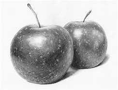 Image result for Still Life Sketch Apple