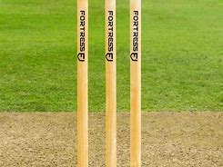 Image result for Only 2 Cricket Stumps