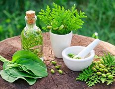 Image result for Herbal Supplements Product