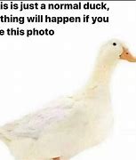 Image result for Chicken Game Meme