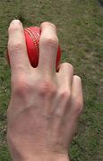 Image result for swingball cricket rules