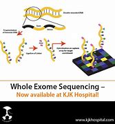 Image result for Whole Exome Sequencing