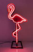 Image result for Neon Flamingo