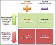 Image result for Types of Positive Reinforcement